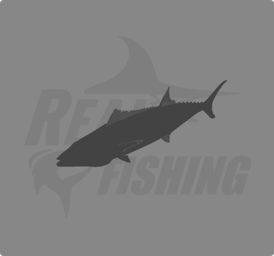 REAL FISHING