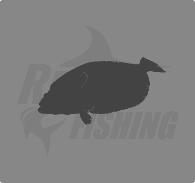 REAL FISHING