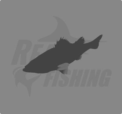 REAL FISHING