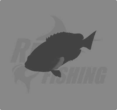 REAL FISHING