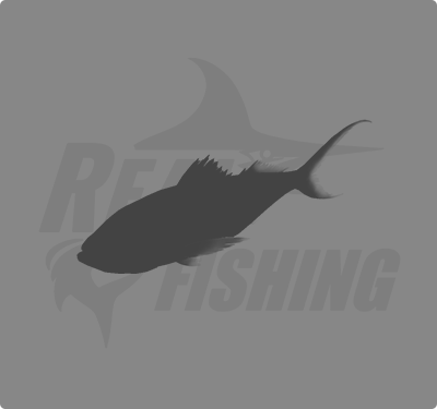 REAL FISHING