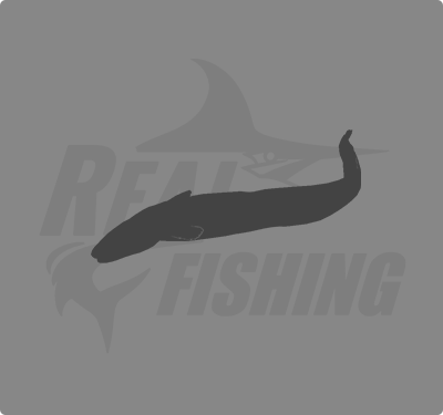 REAL FISHING