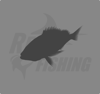 REAL FISHING