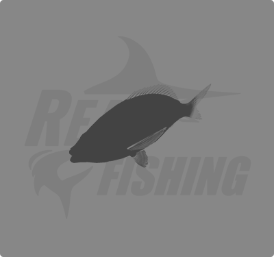 REAL FISHING