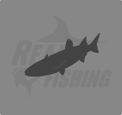 REAL FISHING