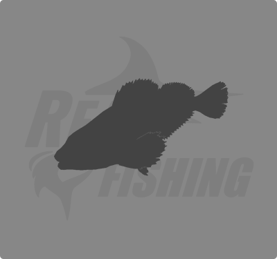 REAL FISHING