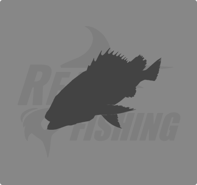 REAL FISHING