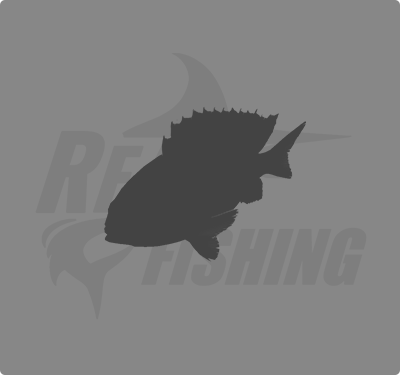 REAL FISHING
