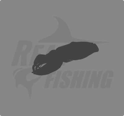 REAL FISHING