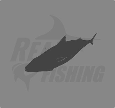 REAL FISHING