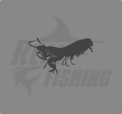 REAL FISHING