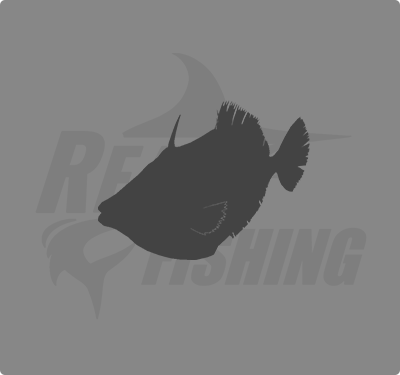REAL FISHING