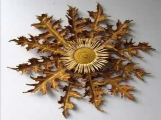 EGUZKILORE ASOC. CANNAB.