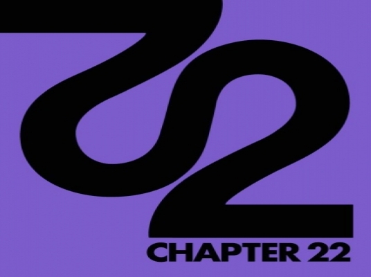 Chapter22