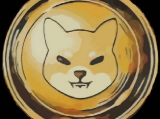 Darts Bar Shiba Inu