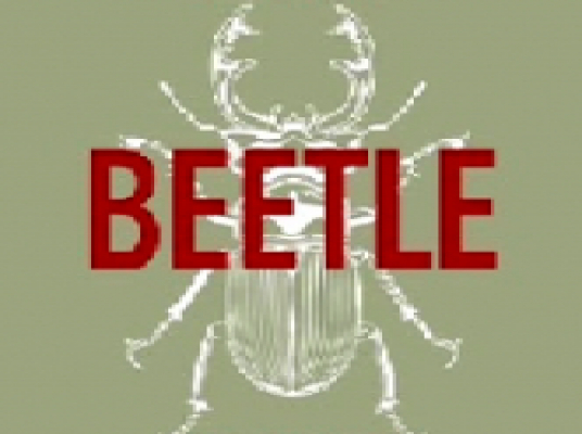 Blue room  볼링장