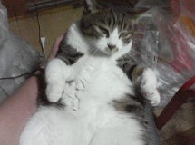 Blue room  볼링장