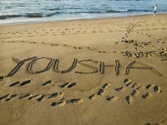 사진