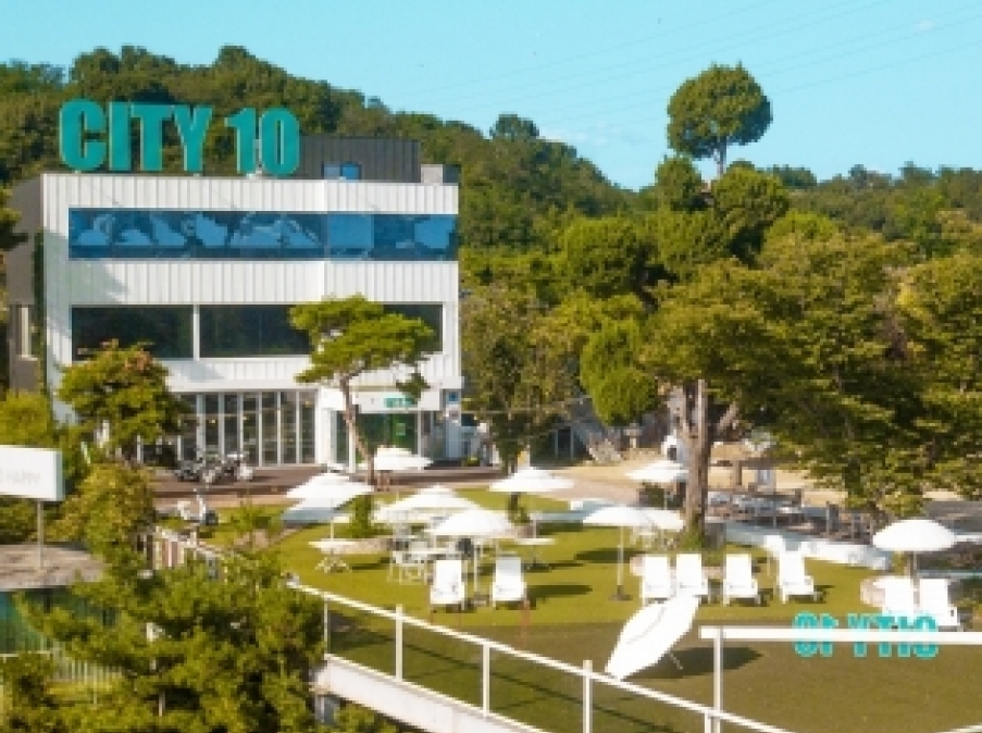 사진