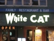 화이트캣(동대문)