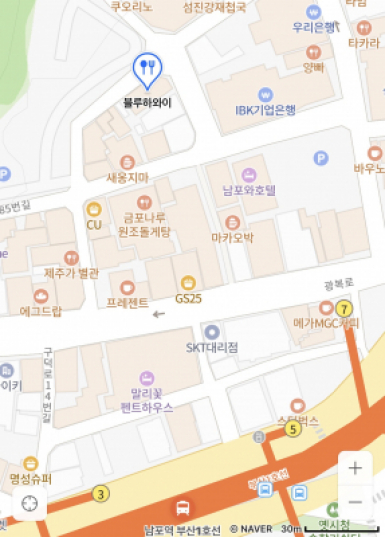 사진