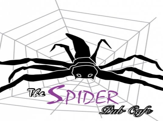 SPIDER DART HOUSE (PERMAS)