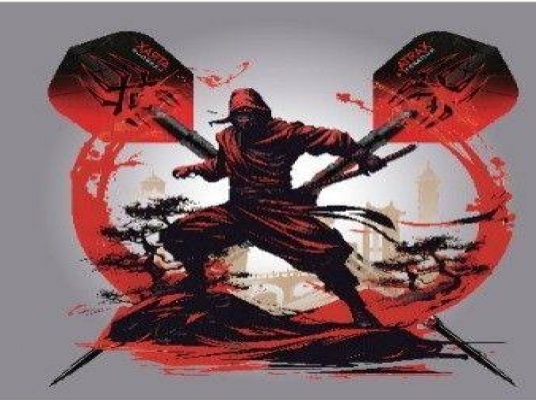 NINJA X (RAUB)