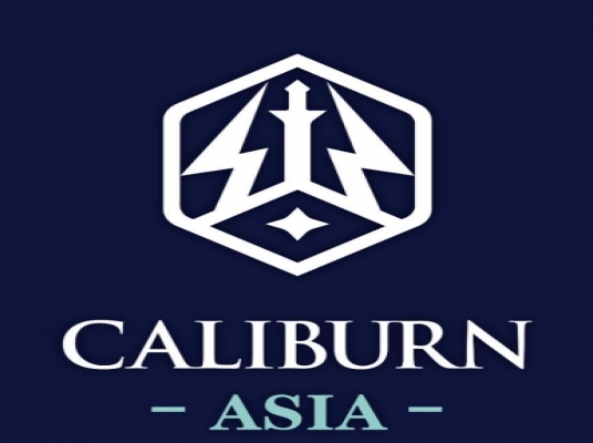 CALIBURN DARTS MALAYSIA (BM)