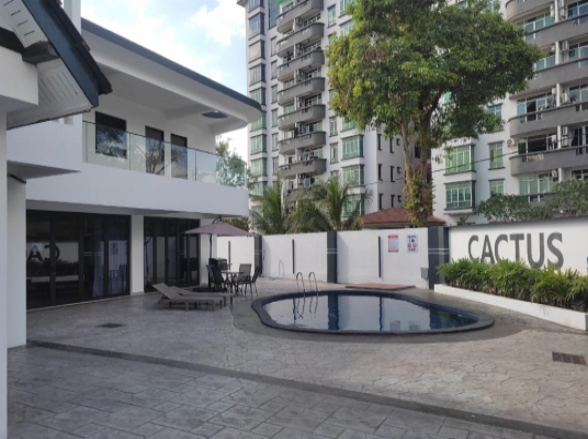 CACTUS (MOUNT AUSTIN)