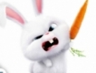 user picture2