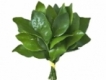 user picture2
