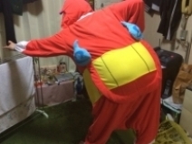 user picture