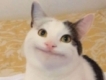 user picture2