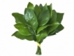 user picture2