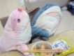 user picture1