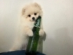 user picture2