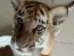 user picture2