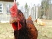user picture2