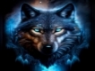 user picture3