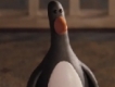 user picture1