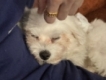 user picture3