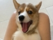 user picture1