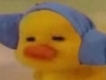 user picture2