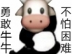 user picture1