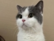 user picture1