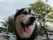user picture2