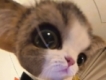 user picture2