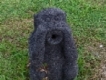 user picture2