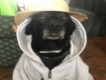 user picture3