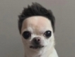 user picture3